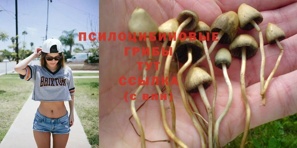 хмурый Волоколамск
