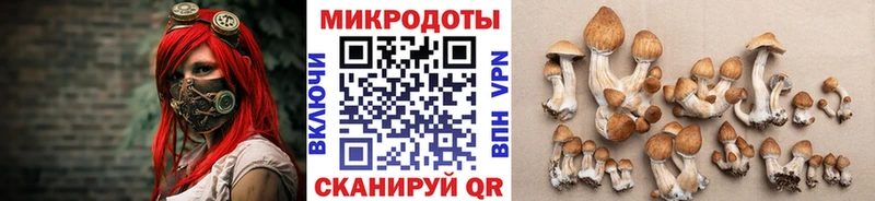 Псилоцибиновые грибы MAGIC MUSHROOMS площадка наркотические препараты Сорск